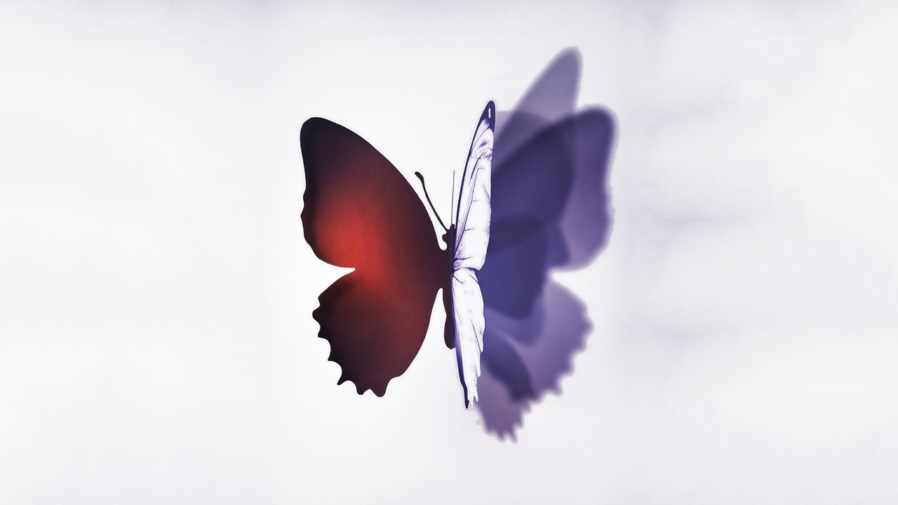 Complete Unknown backdrop