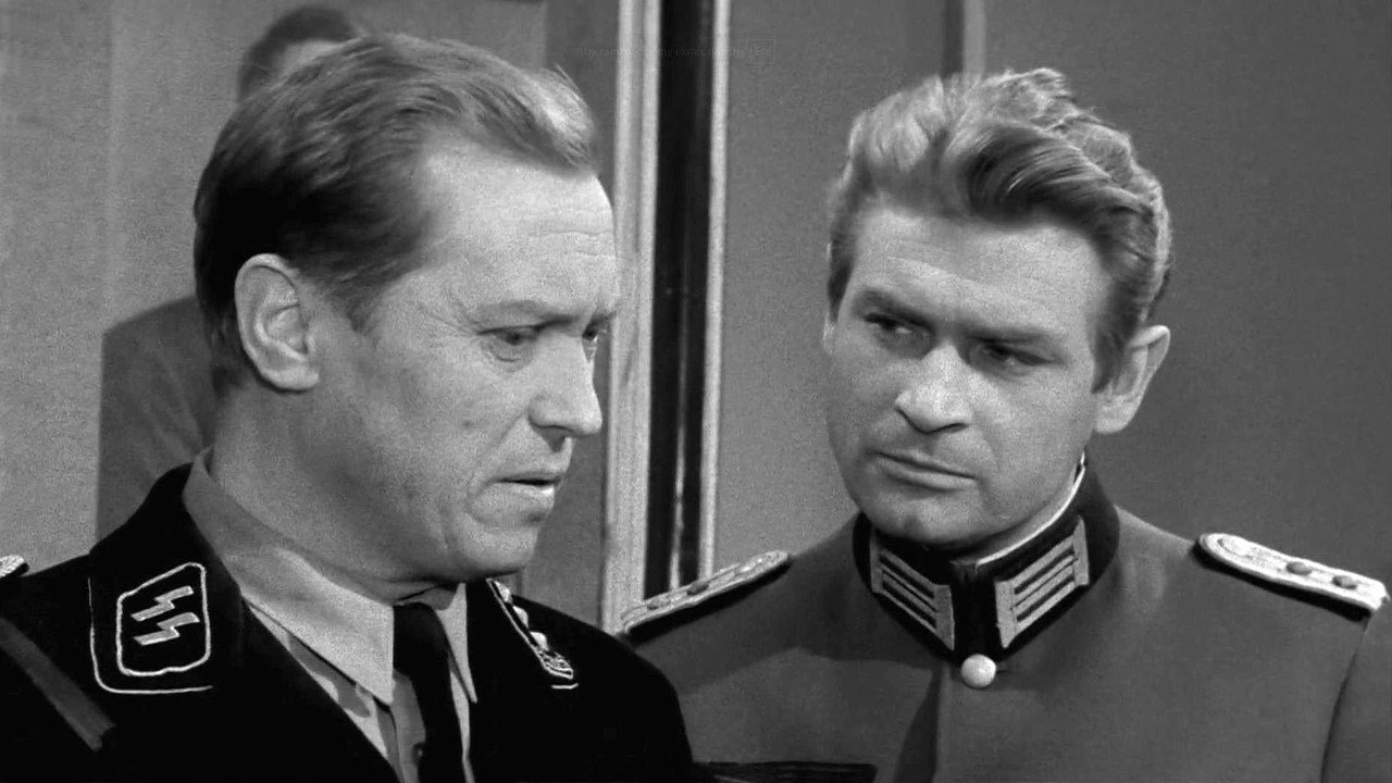 More Than Life At Stake backdrop