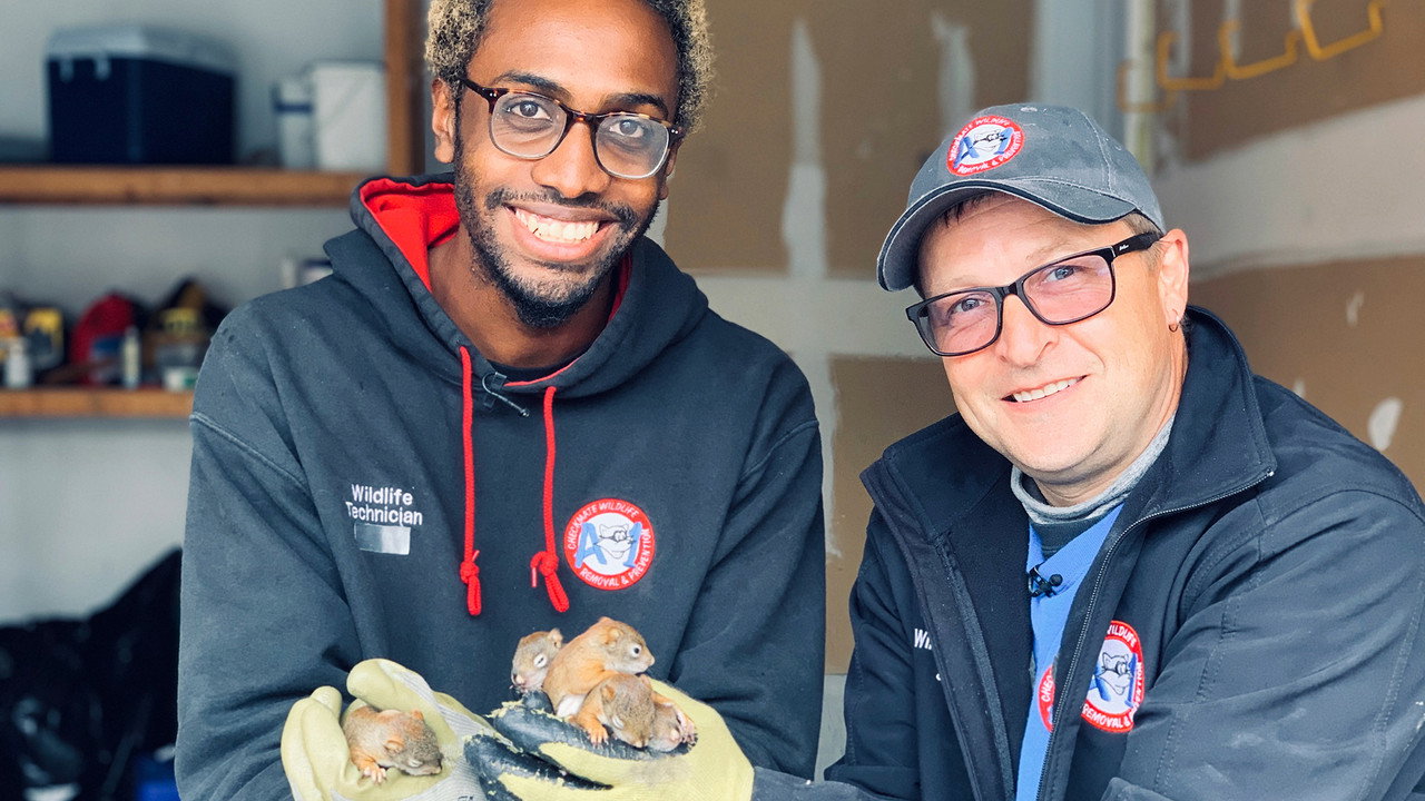 Louis and the Urban Jungle backdrop