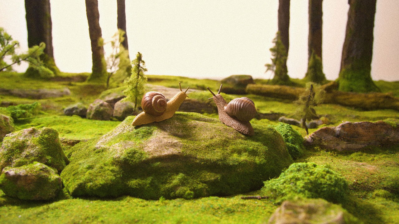 What Happened? backdrop