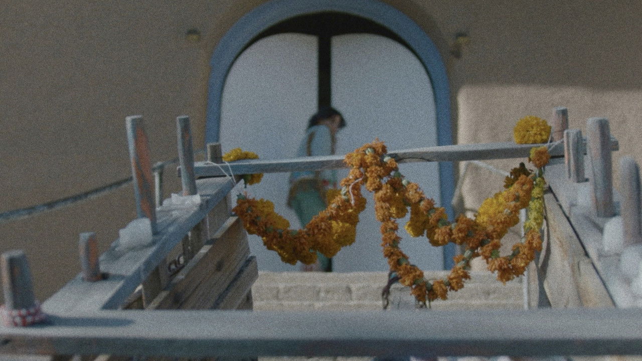 Radon’s Daughters backdrop