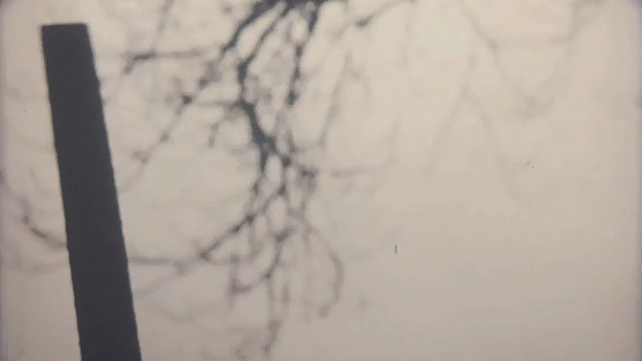 Your Death is My Delight backdrop