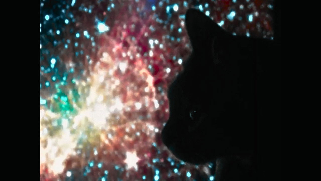 O Subjetivo Observatório backdrop