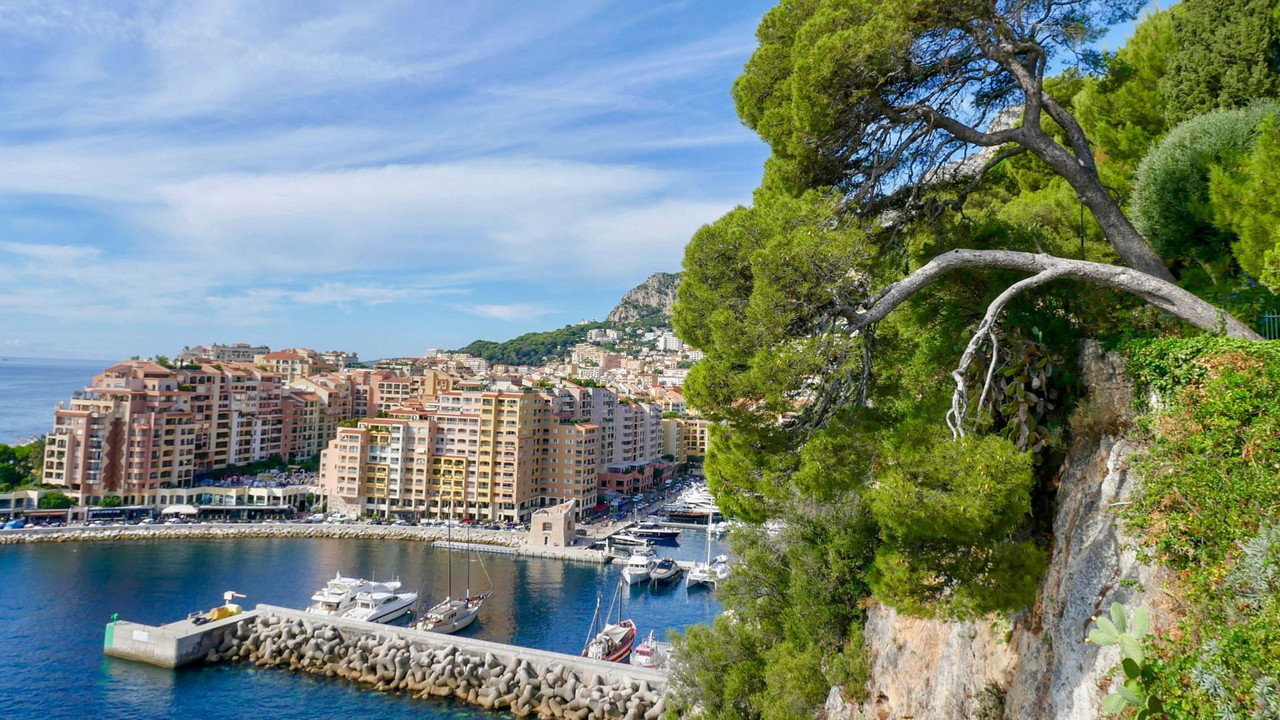 Kleines Land ganz groß backdrop