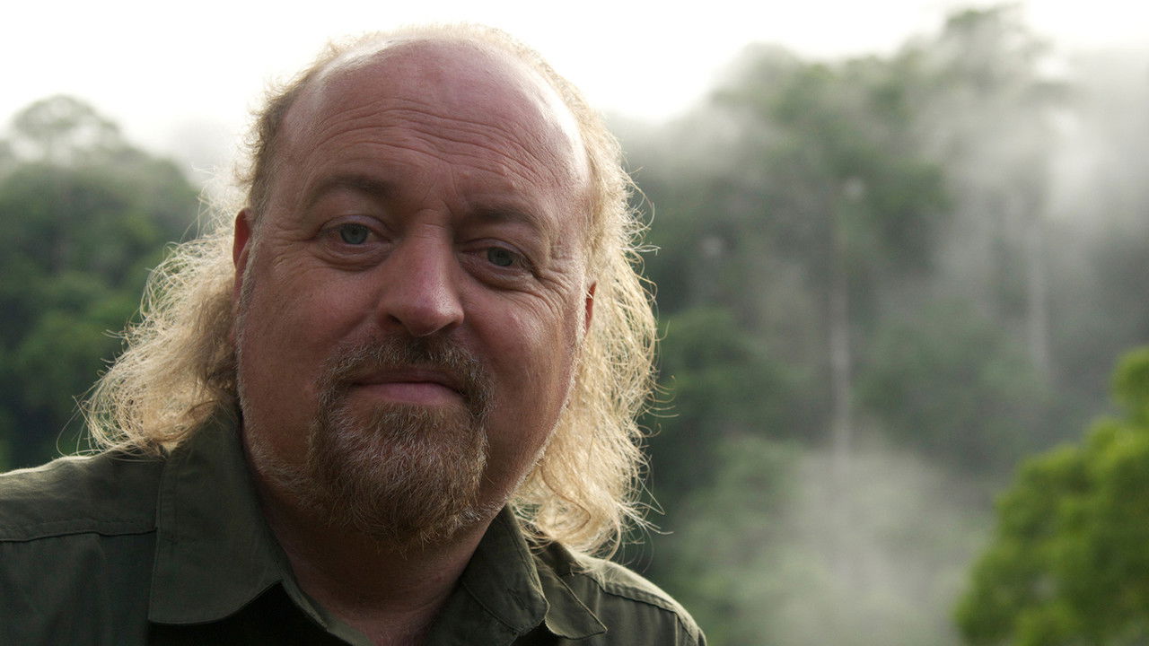 Bill Bailey's Jungle Hero backdrop