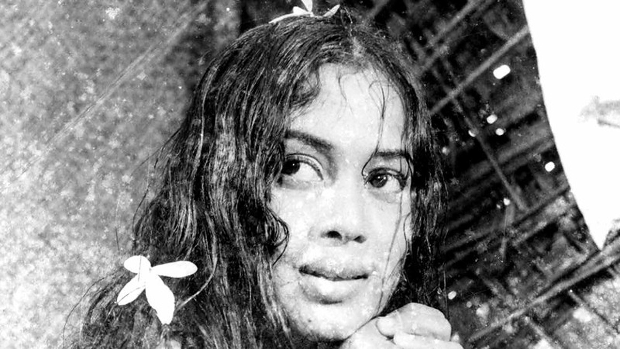 How to Be an Adult backdrop