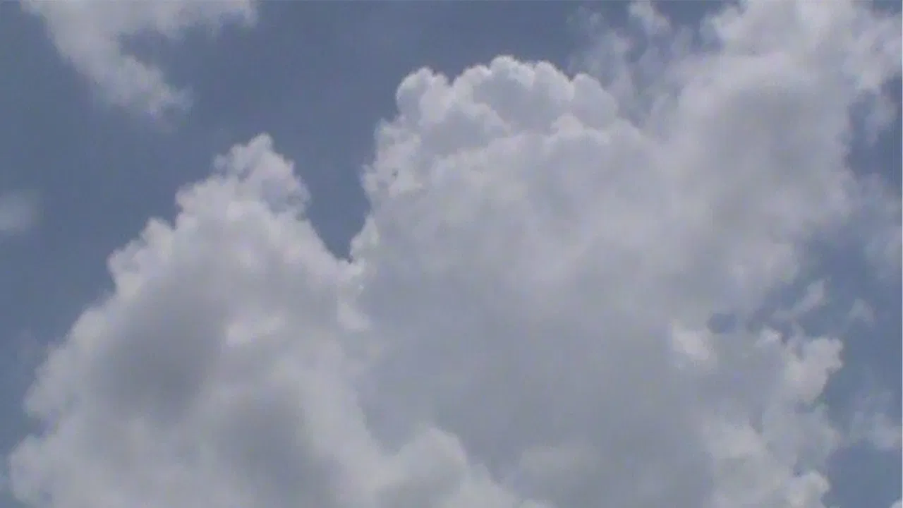 fors fortuna backdrop