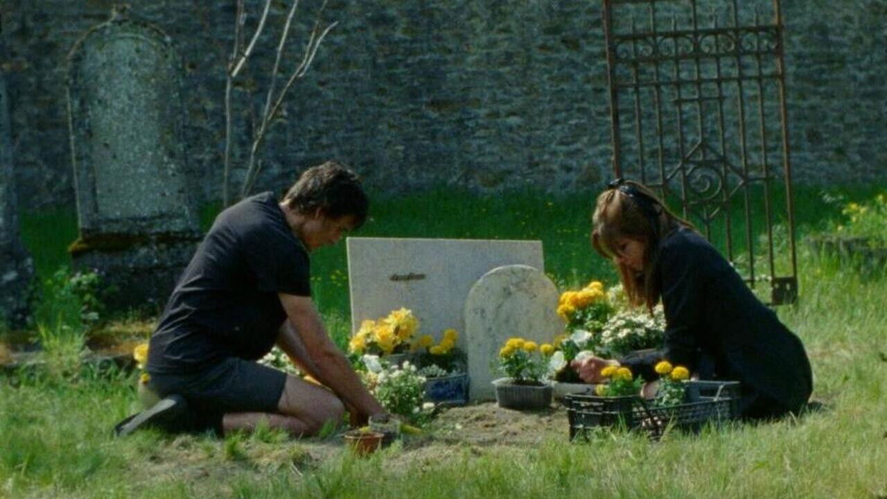 Anapidae (Call Me) backdrop