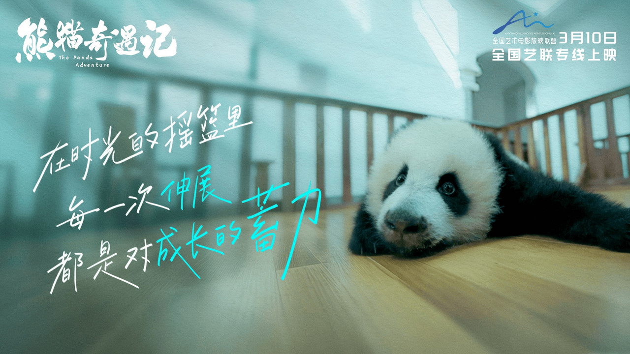 The Panda Adventure backdrop