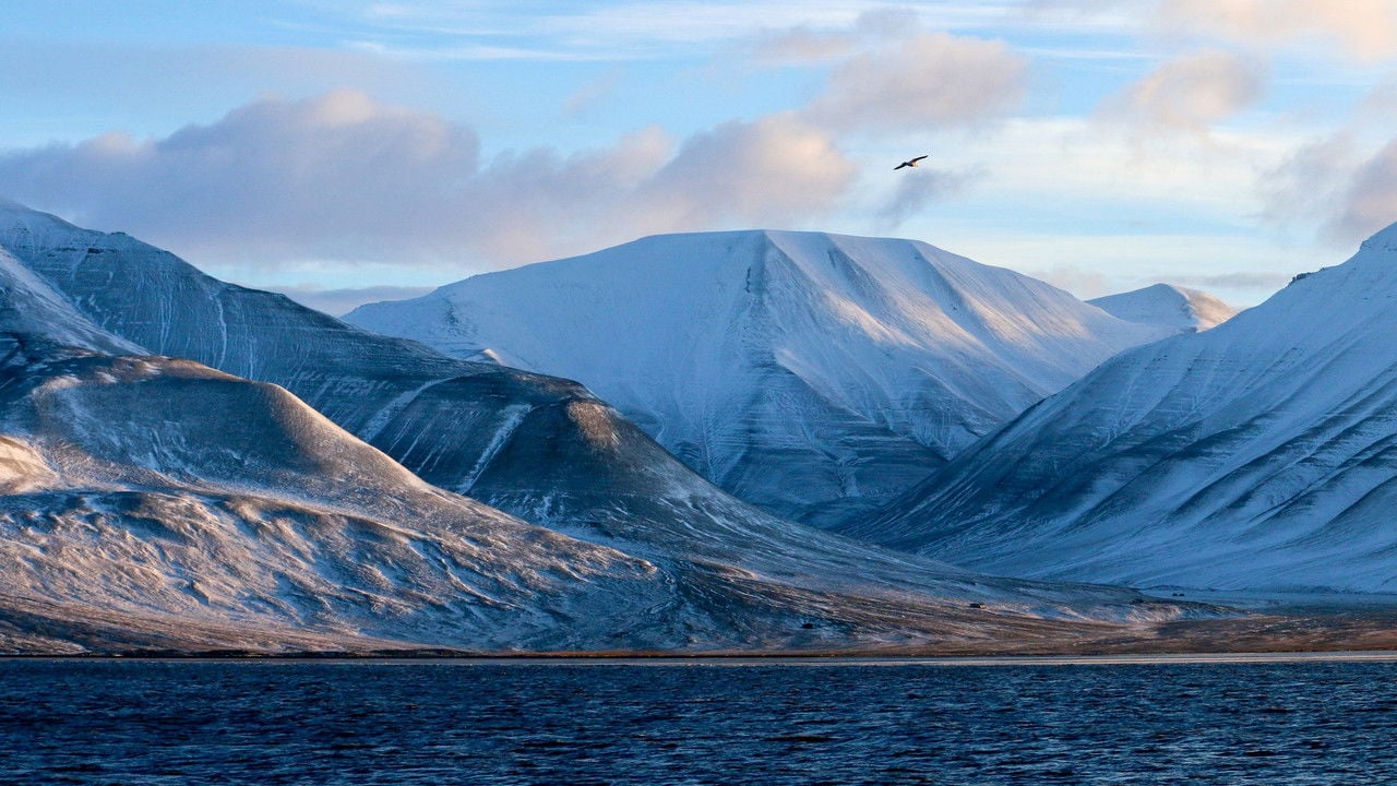 Na vlastní nohy backdrop