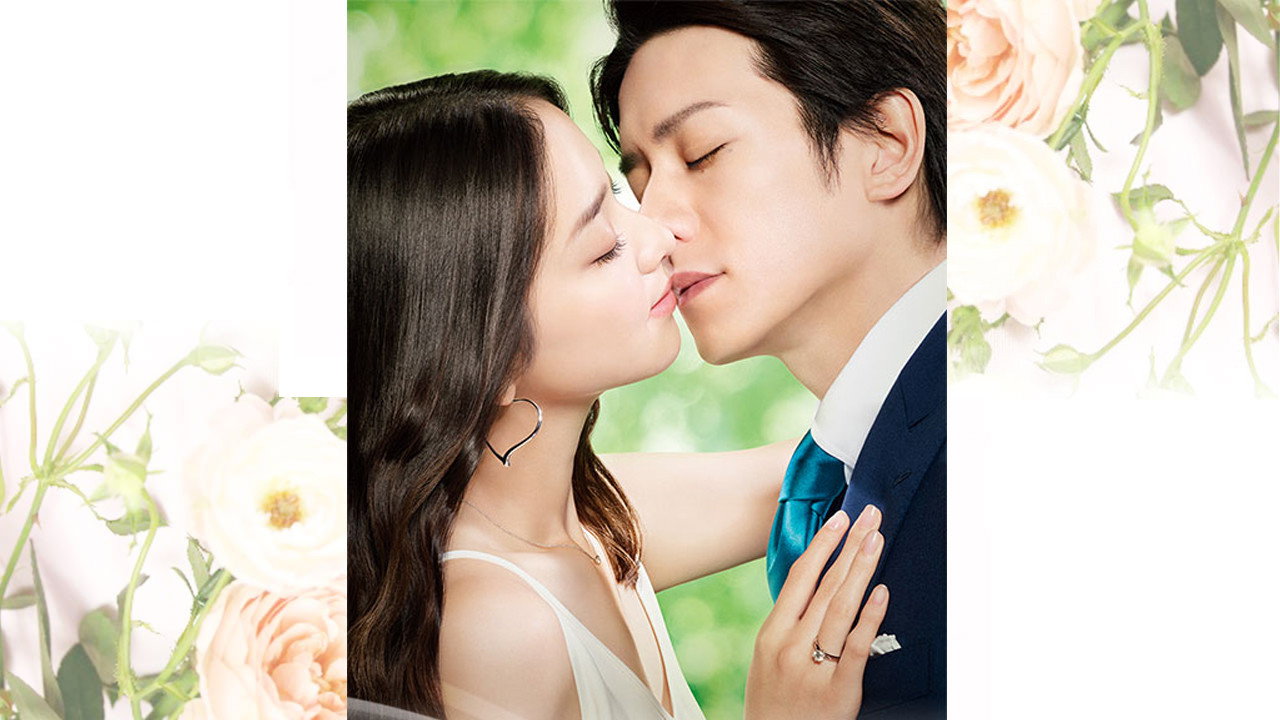 Love Catharsis backdrop