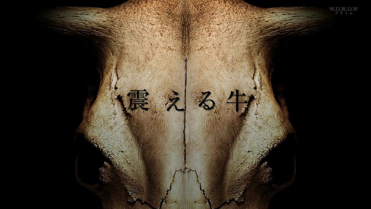 Trembling Cow backdrop