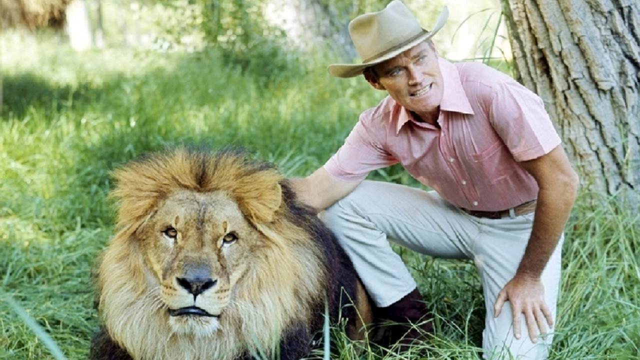 Cowboy in Africa backdrop