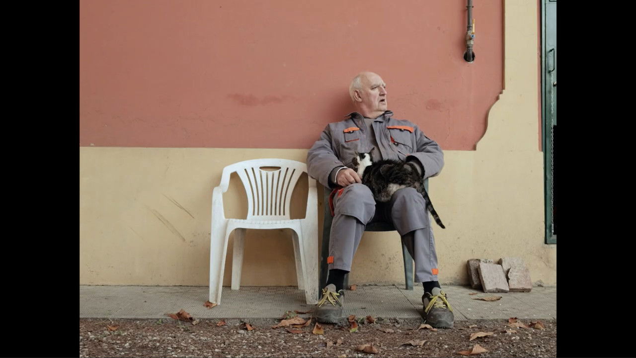 Into Hibernation backdrop