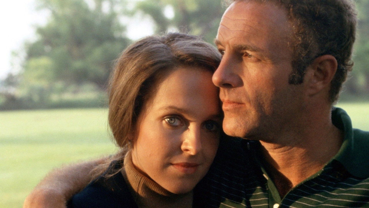 Hide in Plain Sight backdrop