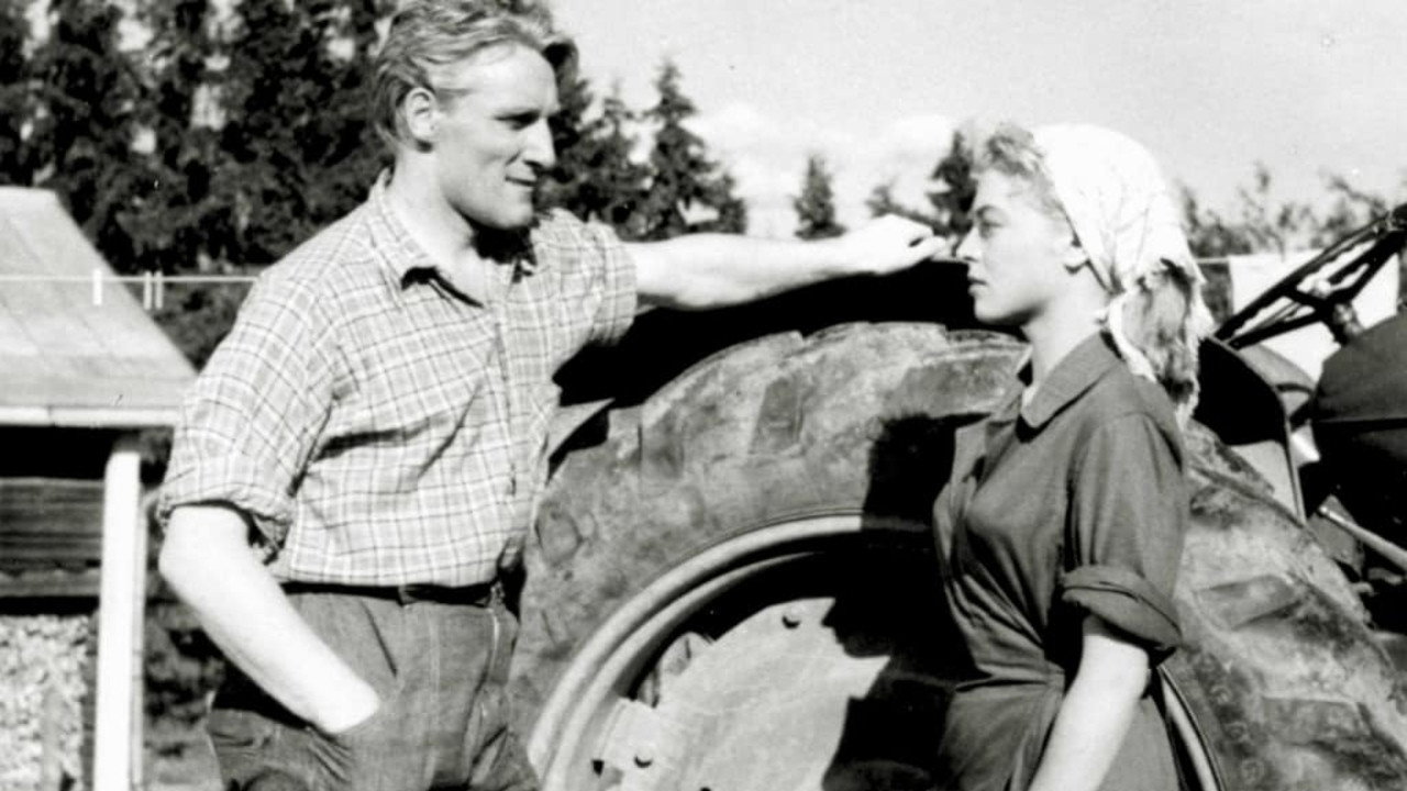 Kukonlaulusta kukonlauluun backdrop