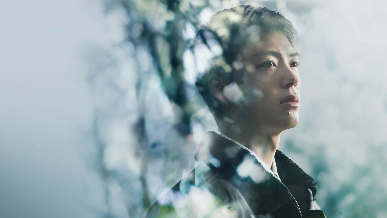 Silent Truth backdrop