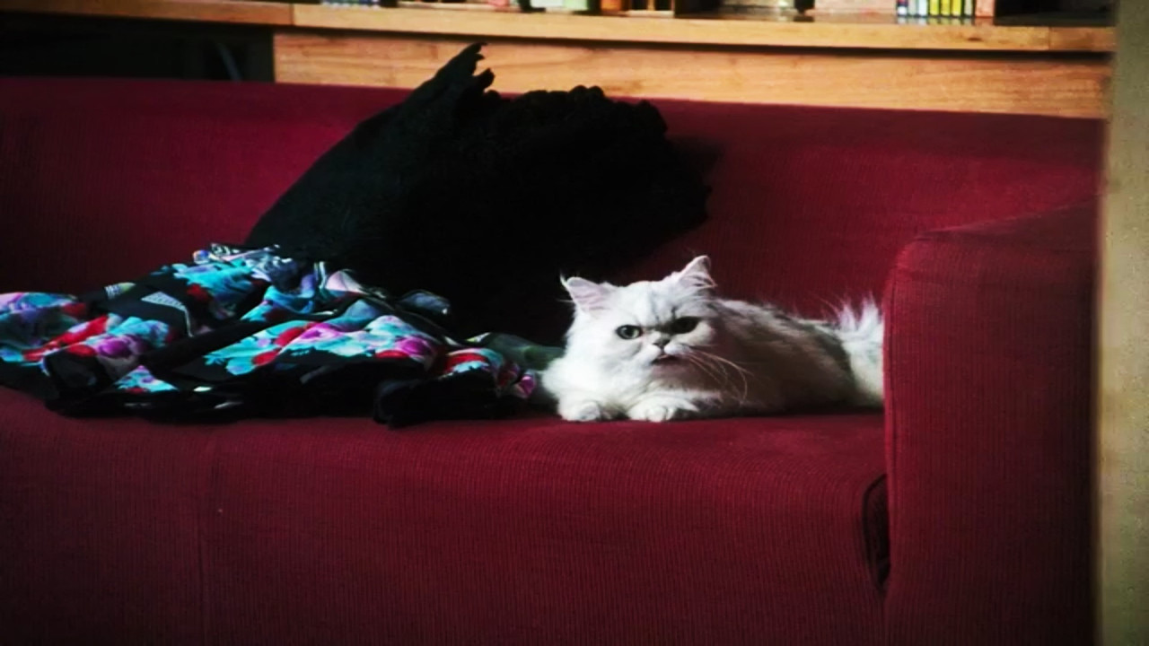 Private Crimes backdrop