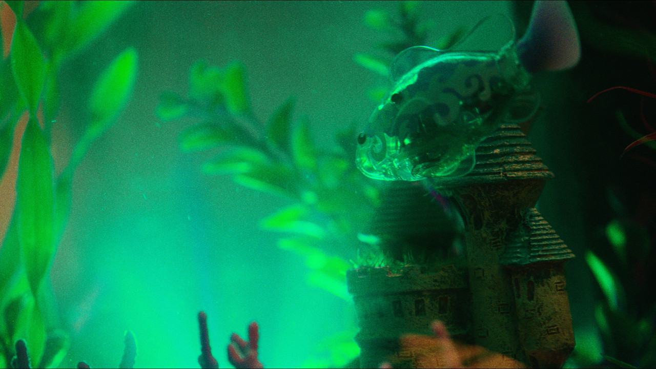 The Landlord backdrop