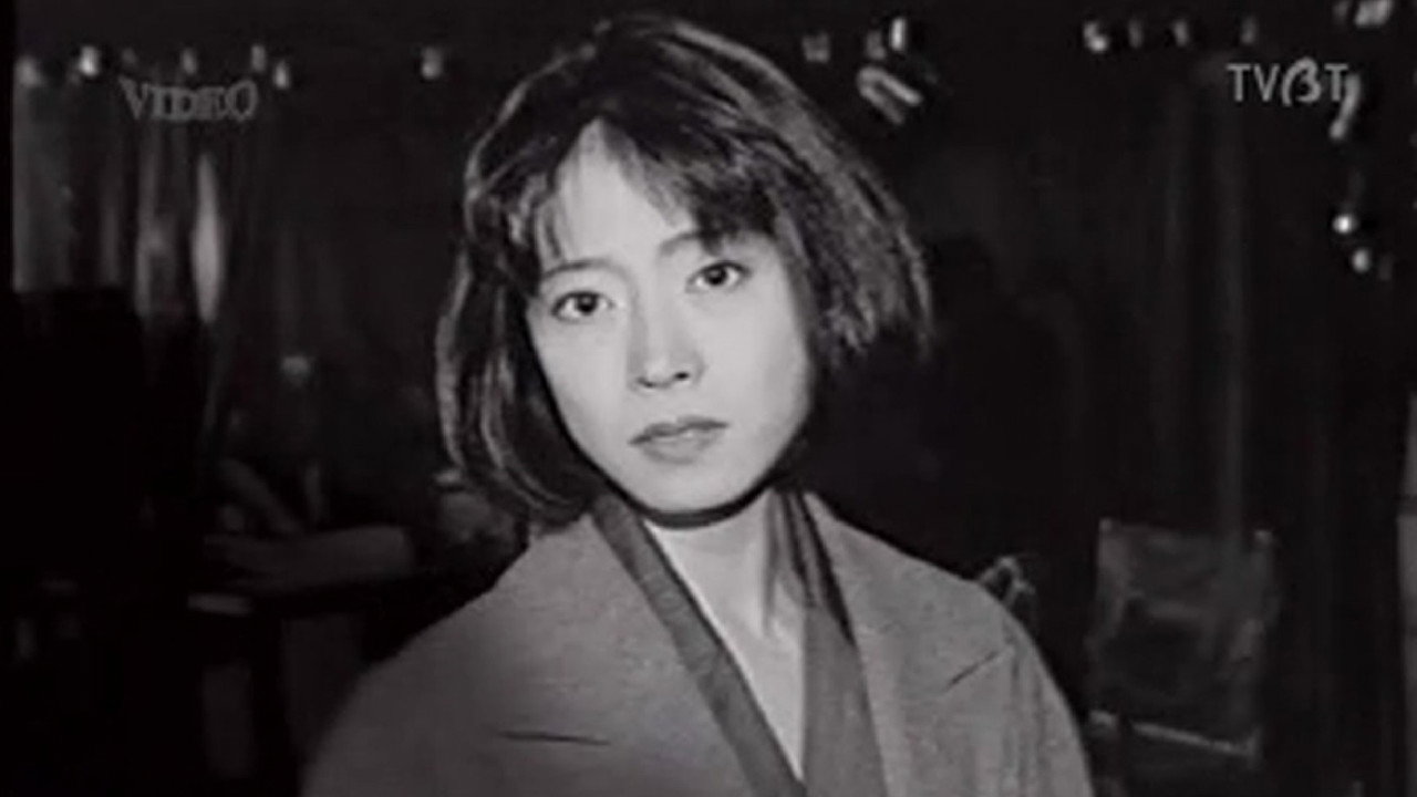 ファイル ボーダー backdrop