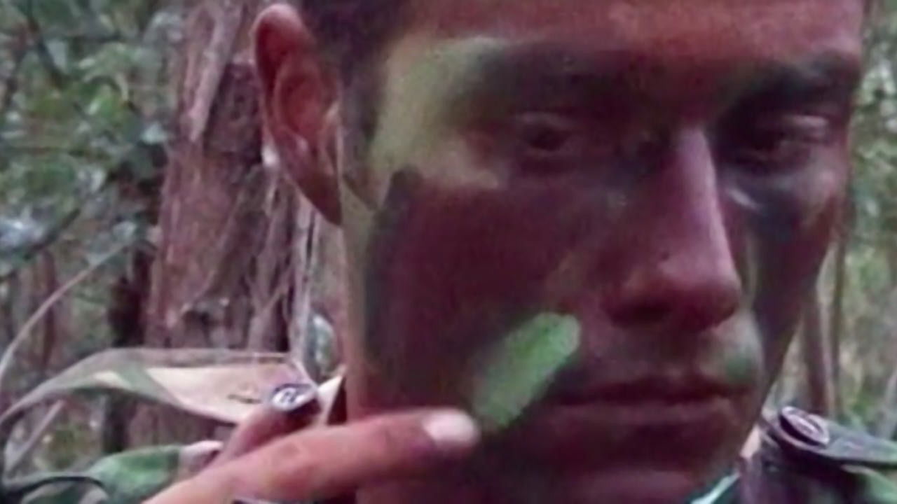 Where Do You Stand Now, João Pedro Rodrigues? backdrop