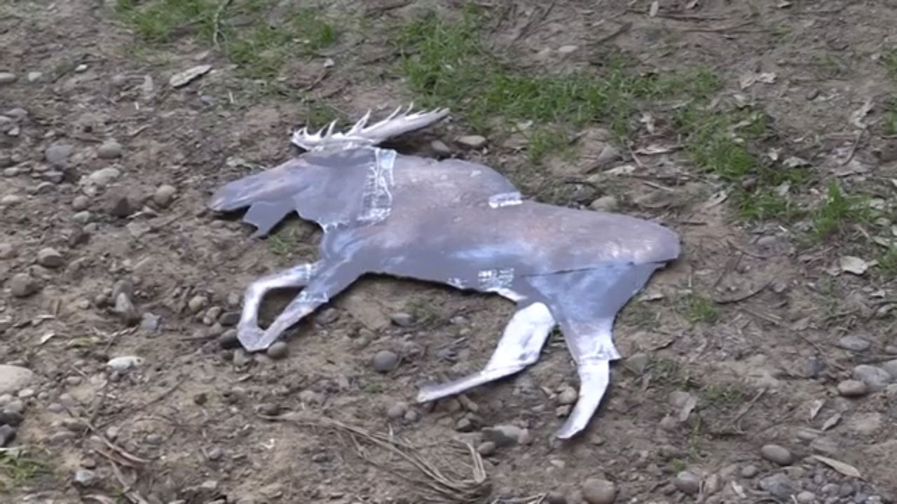 ARGYLE JENKINS: INTERNATIONAL MOOSE CATCHER backdrop