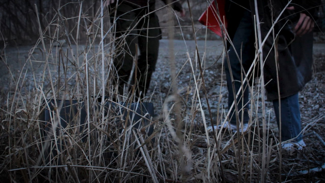 The Mysteriously Mystifying Case of the Embezzlement of Government Funds backdrop