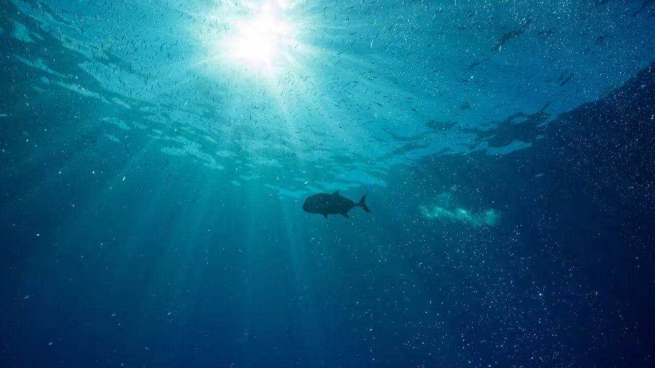 Hope in the Water backdrop