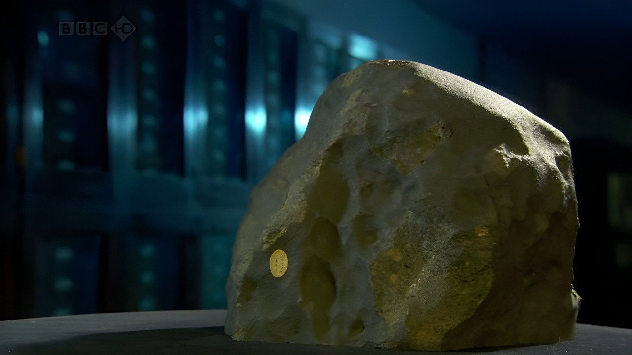 Museum of Life backdrop