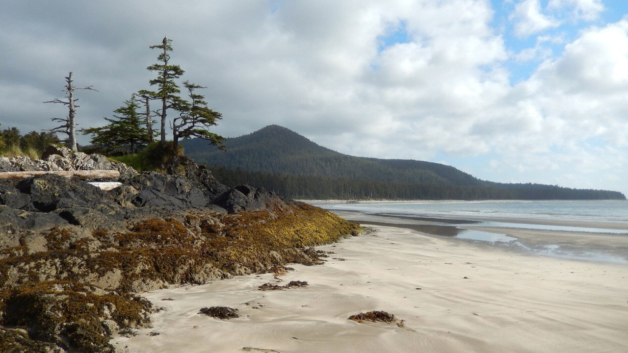 Haida Gwaii: On the Edge of the World backdrop