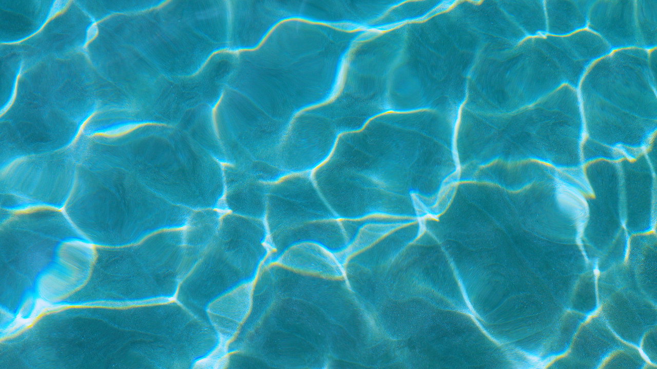 Soy Boricua backdrop