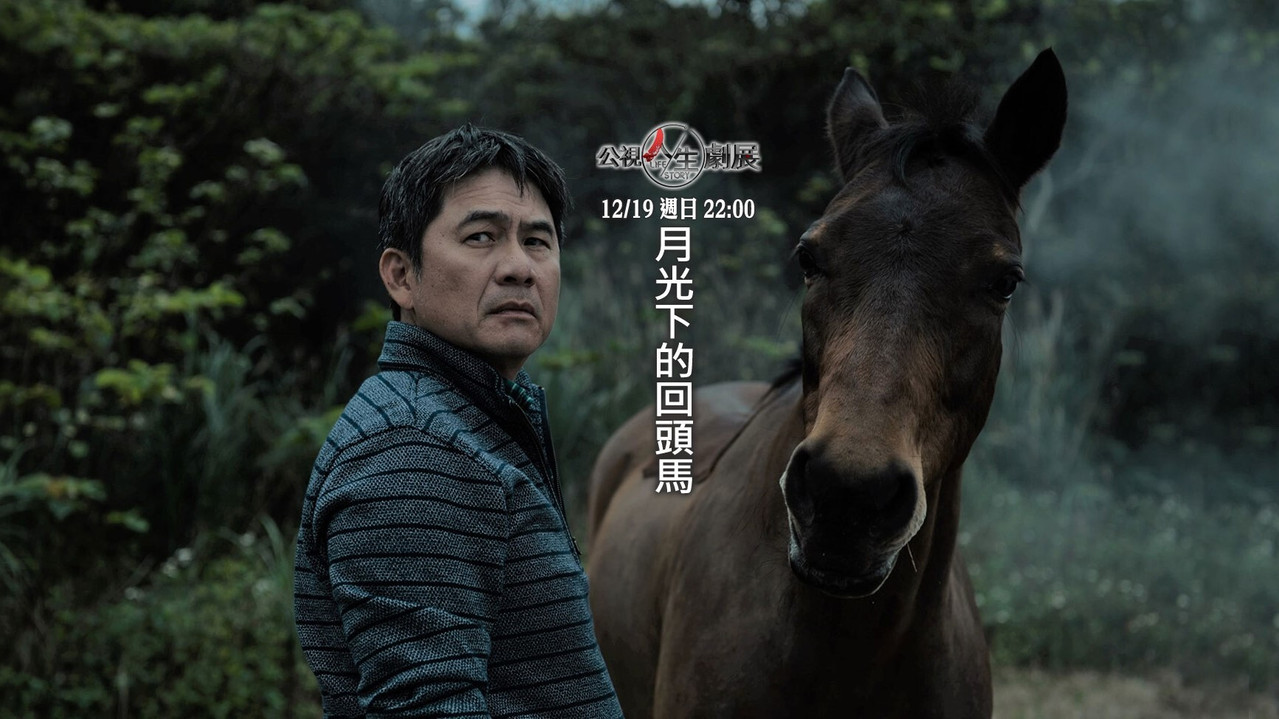 Harking Back backdrop