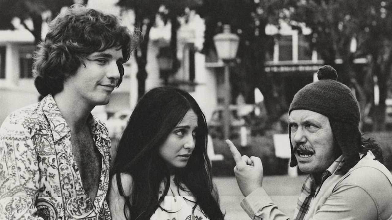 Camomila e Bem-Me-Quer backdrop