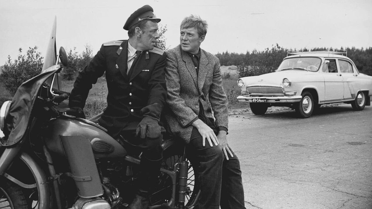 Beware of the Car! backdrop