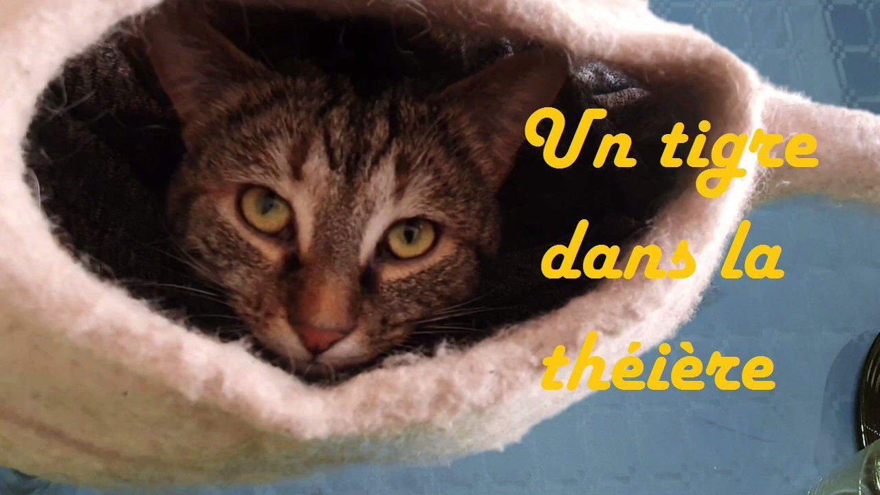 The Tiger in the Teapot backdrop