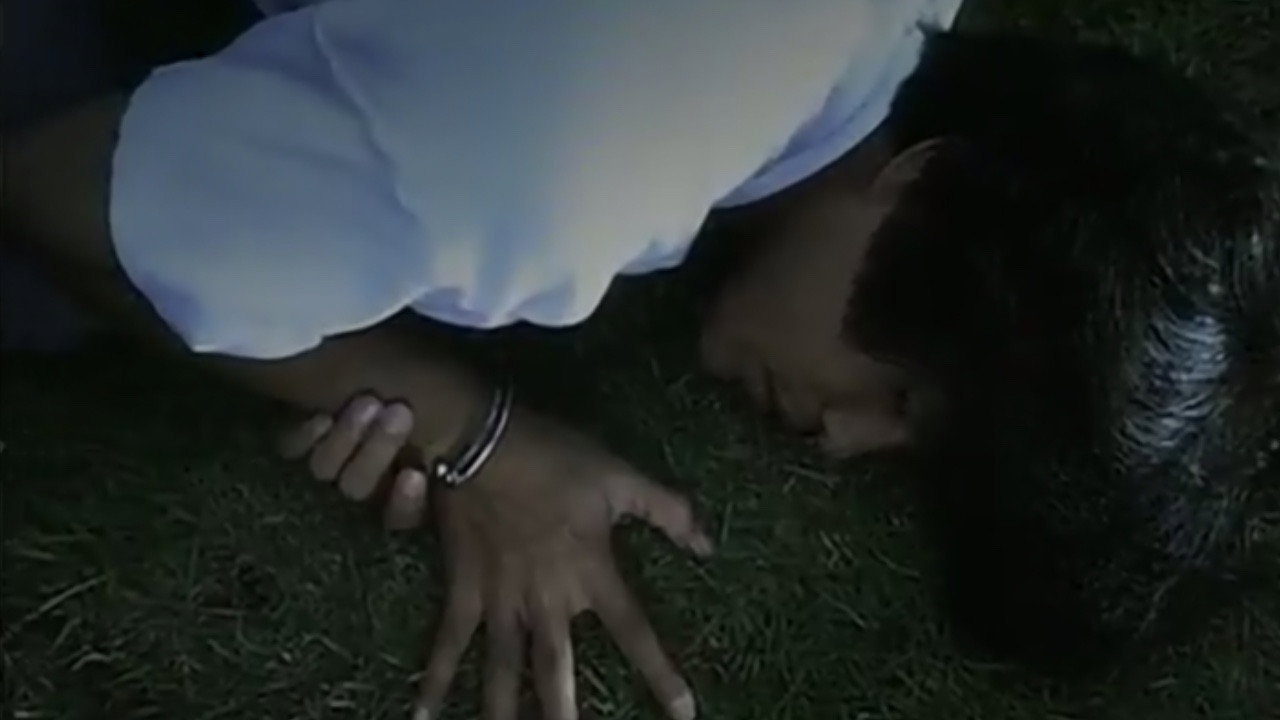 Heavenly Blue backdrop