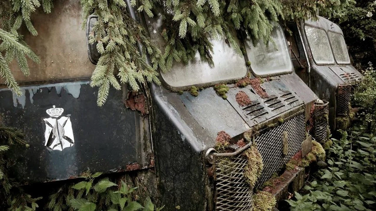 Paradis de rouille backdrop