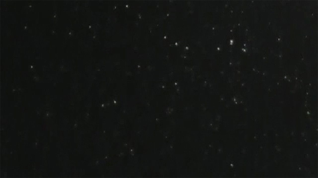 snow, finally backdrop