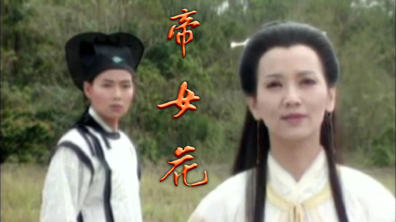 乱世不了情 backdrop