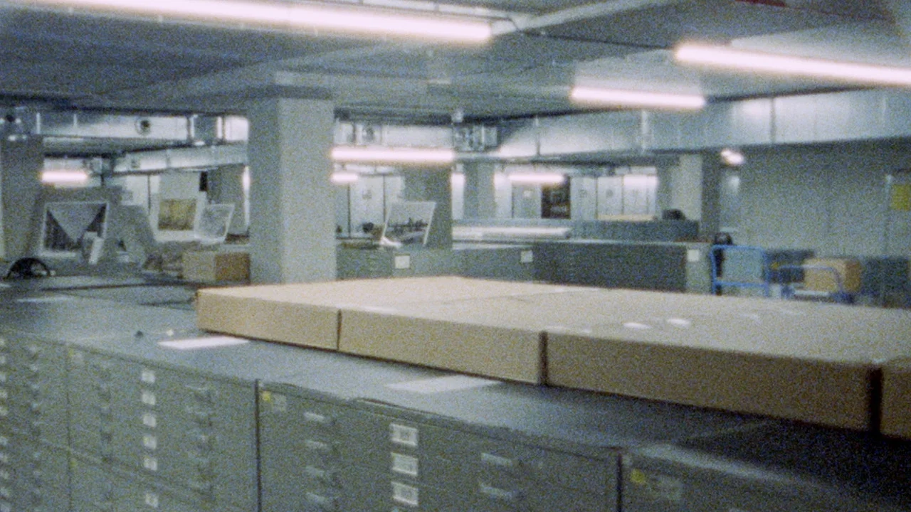 Seen From Here, I Feel Like Belonging backdrop