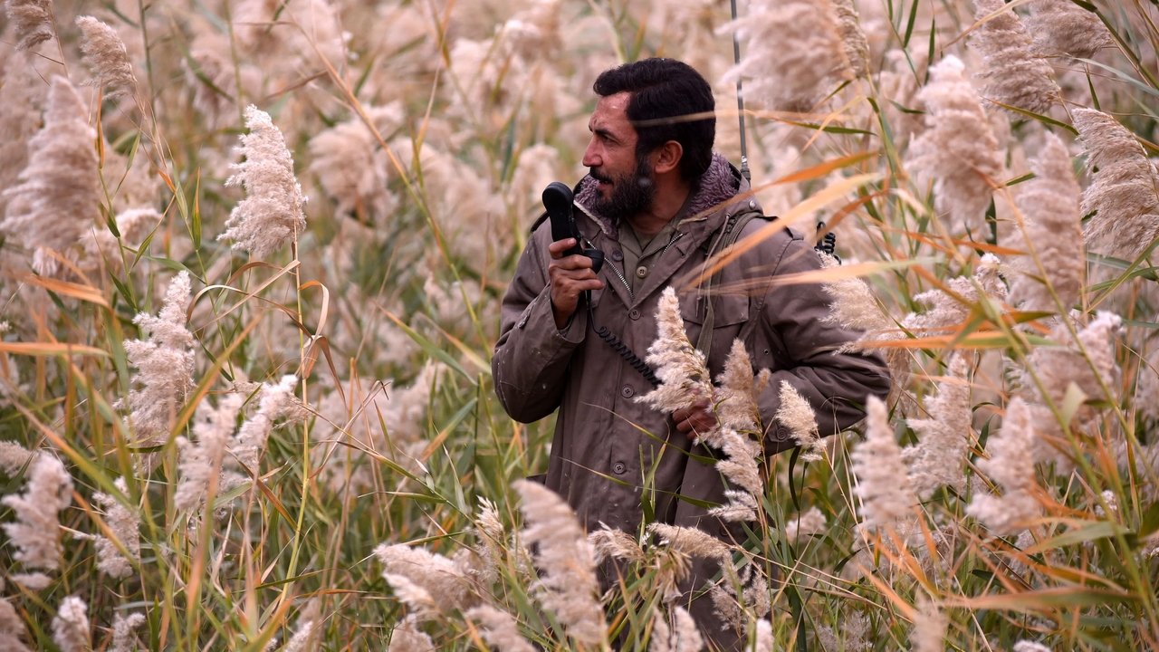 The Situation of Mehdi backdrop