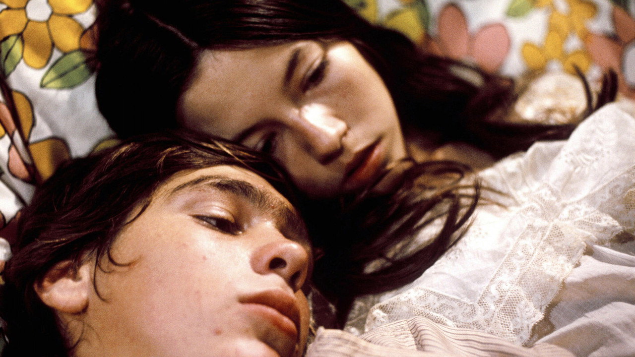 Dusty and Sweets McGee backdrop