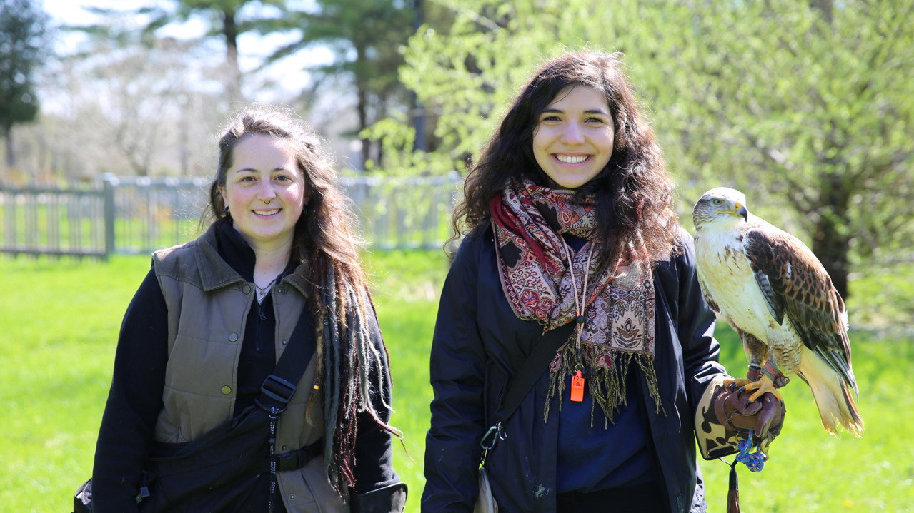 Un safari près de chez nous backdrop
