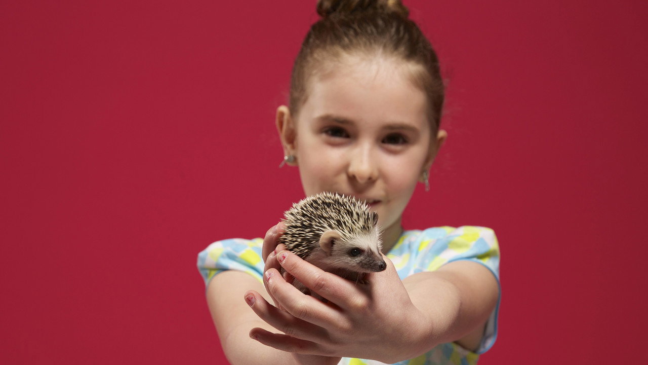 Ultimate Pet Lover backdrop