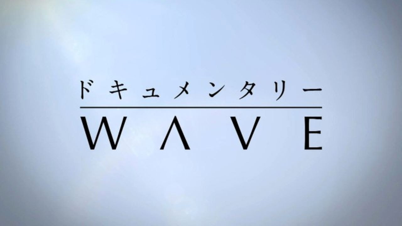 Documentary WAVE backdrop