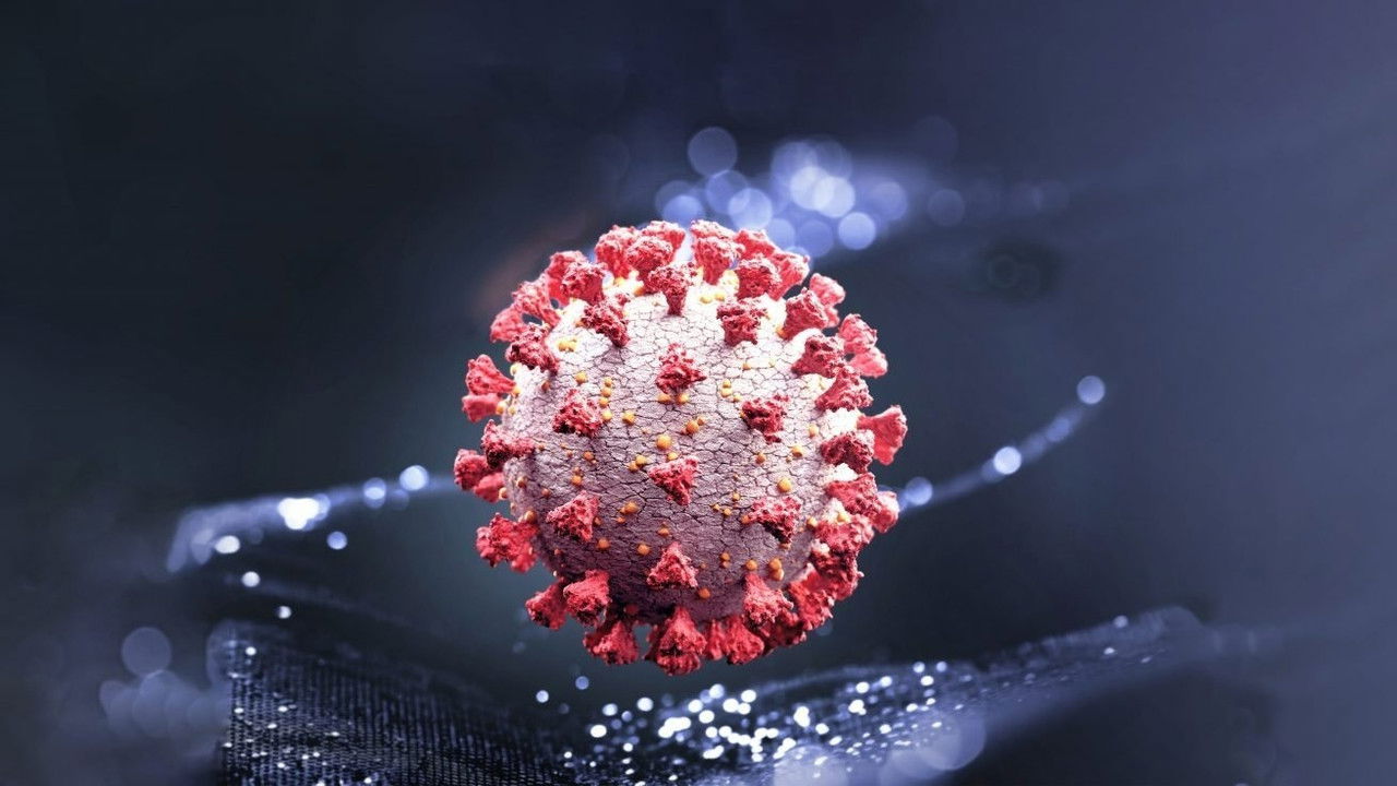 Covid 19: The World in Danger backdrop