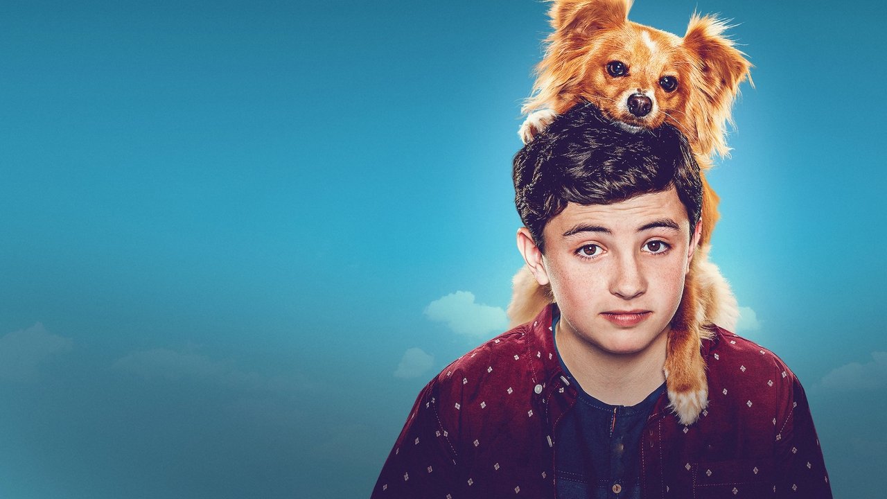 The Healing Powers of Dude backdrop