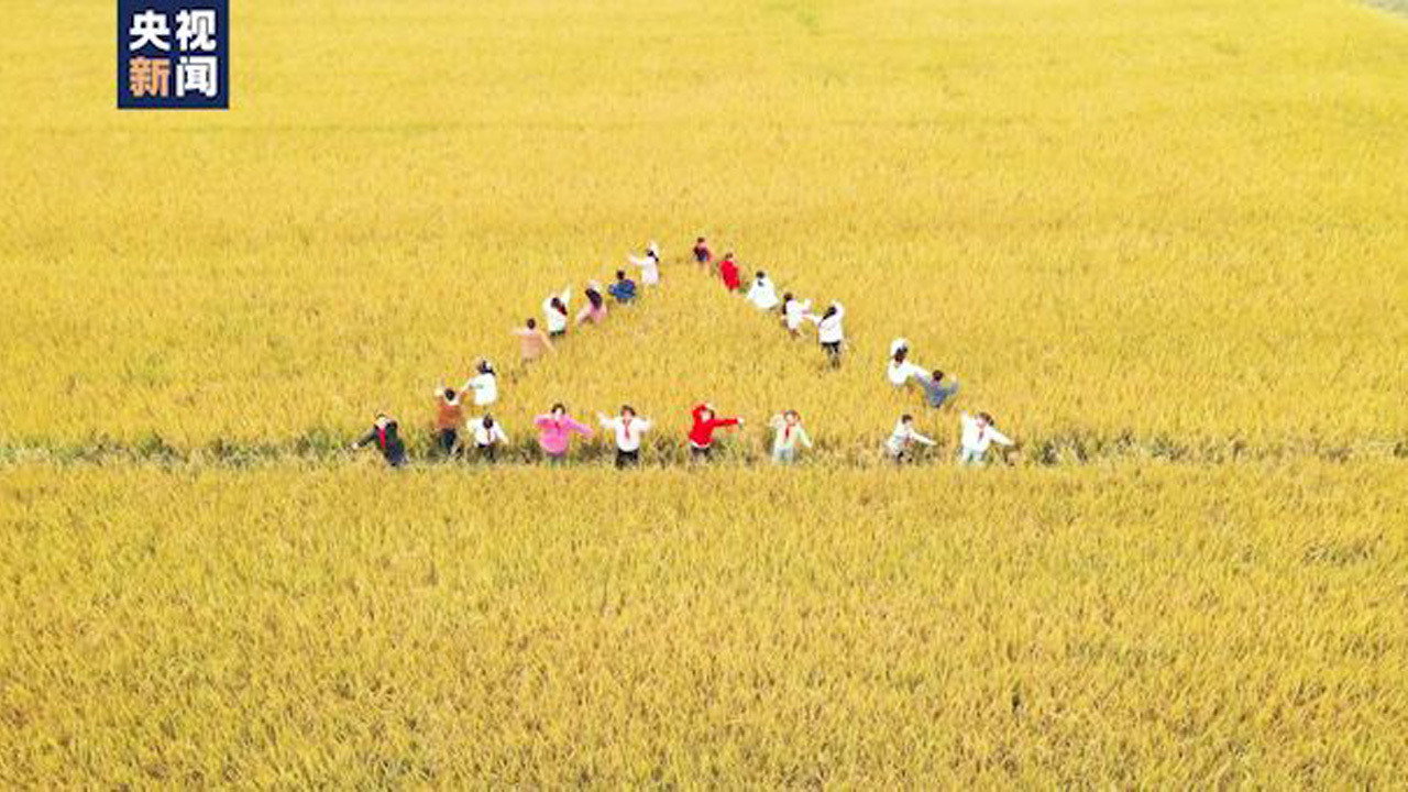 田野里的歌声 backdrop
