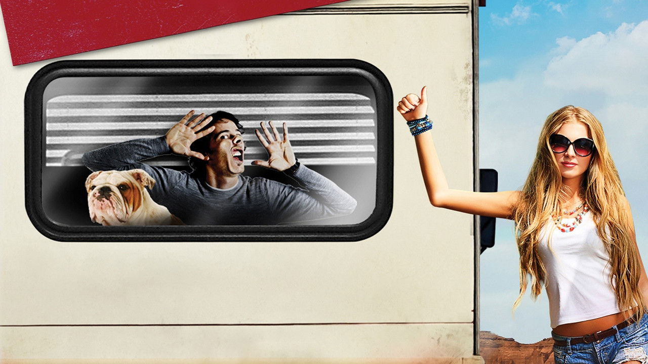 American Idiots backdrop