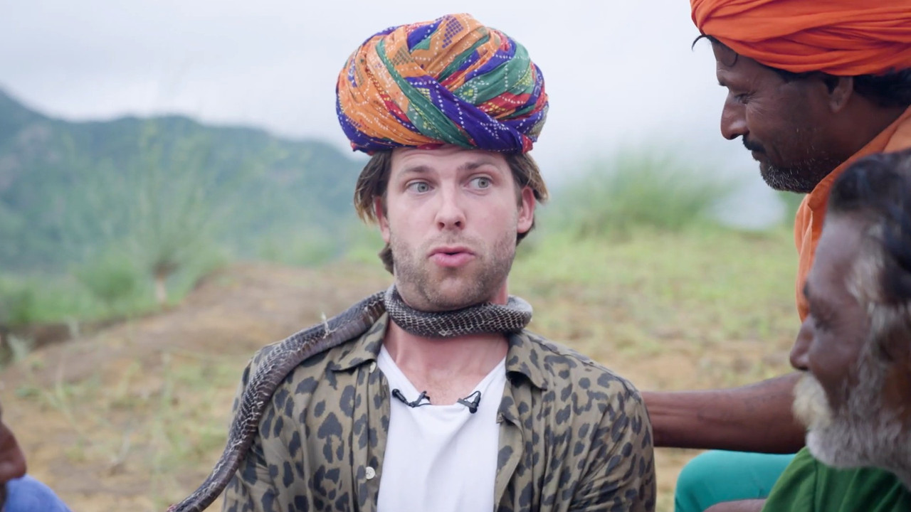 Dwars Door India backdrop